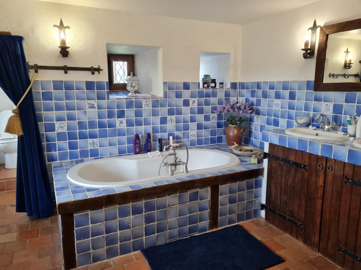 Manoir De La Beuneche - Location Du Manoir Entier Roeze-sur-Sarthe エクステリア 写真