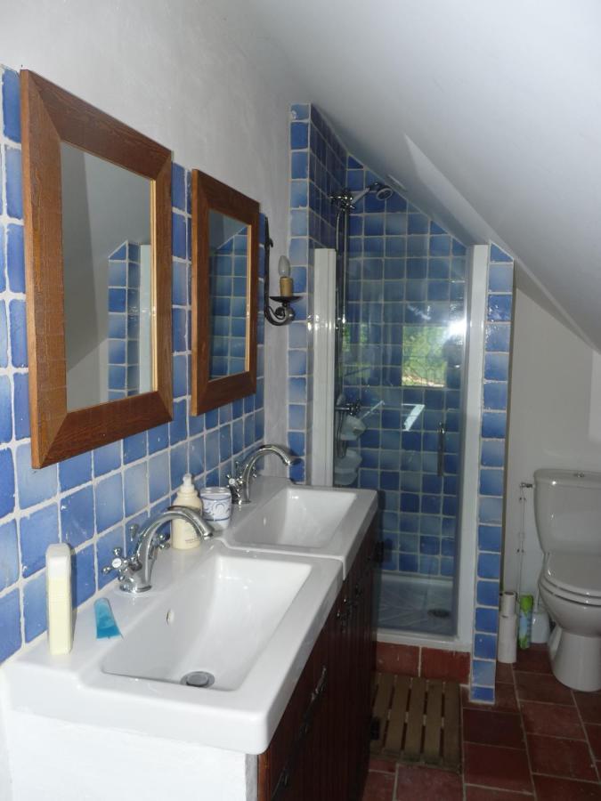 Manoir De La Beuneche - Location Du Manoir Entier Roeze-sur-Sarthe エクステリア 写真